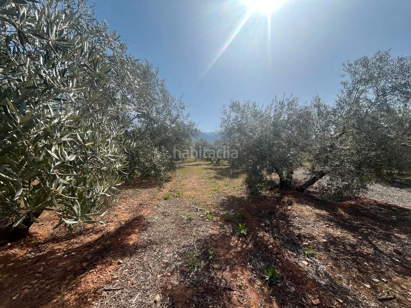 Foto acc2f9e1-783c-4266-9452-3a88d38df156. Finca rústica a Villamena