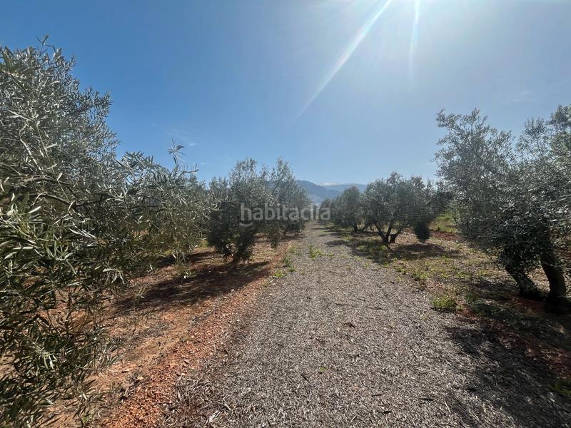 Foto d6a66b12-c45f-4d98-a964-8b3a63b23d46. Finca rústica a Villamena