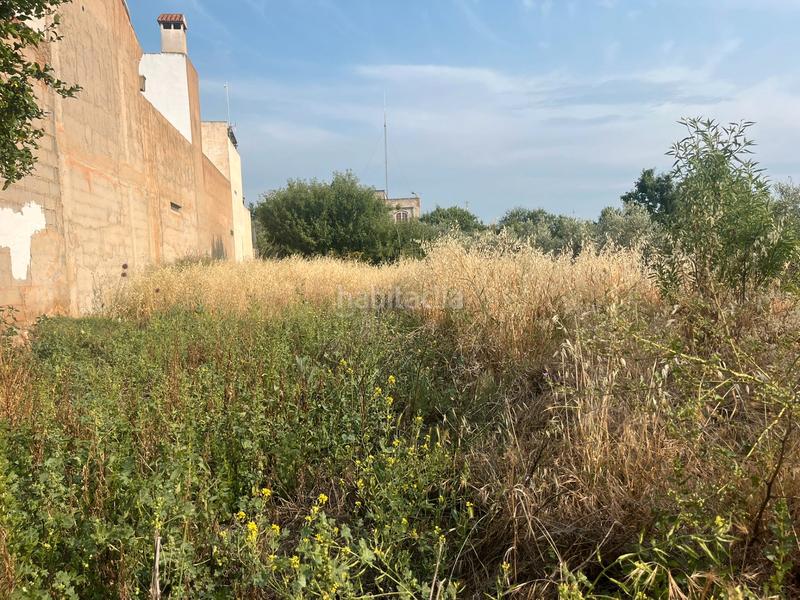 Foto b91a6c6a-f9af-4e1c-b93f-08cf628adaa6. Finca rústica a Dúrcal