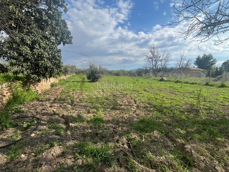 Foto 7d149989-4de6-446c-8598-e5c7016f2211. Finca rústica a calle san jose 30 a Dúrcal