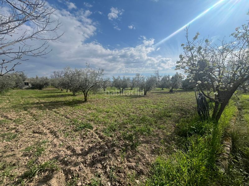 Foto 8dd2e2b0-f7a2-48a6-bc36-4390424a3035. Finca rústica a calle san jose 30 a Dúrcal