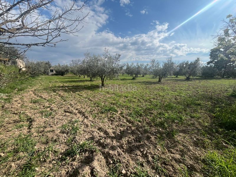 Foto a5636ed8-cff3-4faa-b6b8-b61071e521c3. Finca rústica a calle san jose 30 a Dúrcal