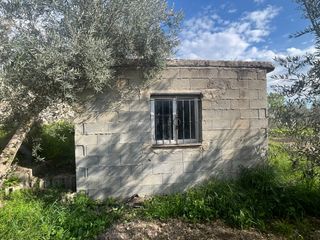 Landgut  Calle san jose 30. Finca rústica con nave de aperos