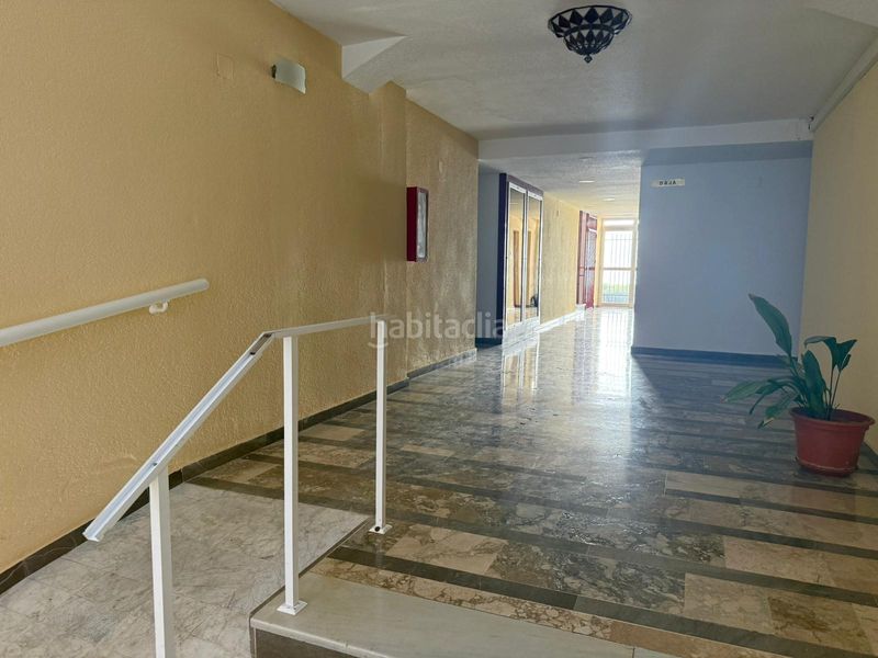 Foto 9e521d0f-a2b4-4954-9e6a-37394dbe6352. Estudi a Torrenueva Motril