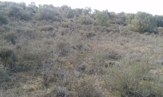 Fondo rustico  De llardecans. Finca rúst. en venta en sarroca de lleida.