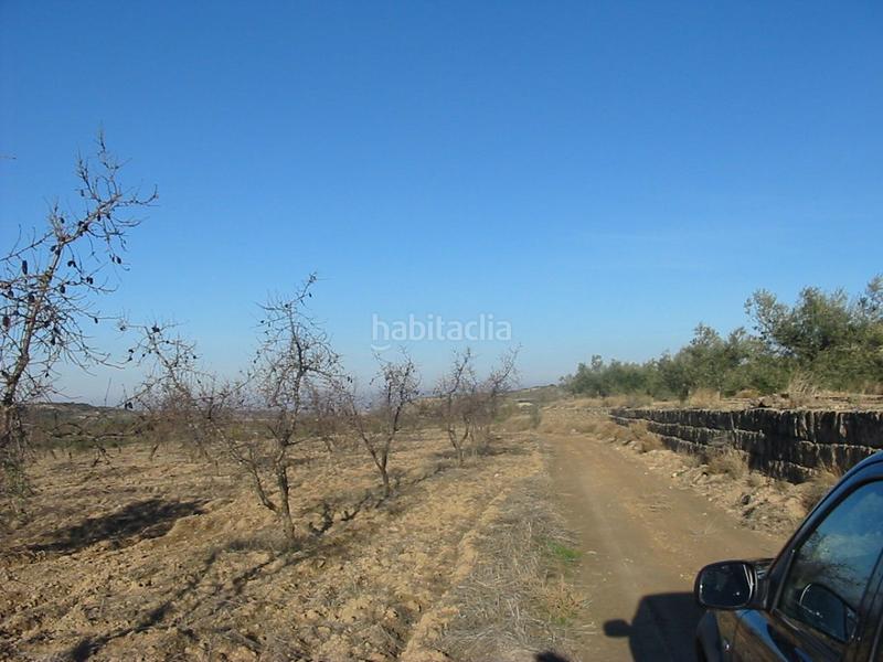 Foto 072307a3-2472-474b-9493-dbd3c46e0b06. Finca rústica a Castelldans