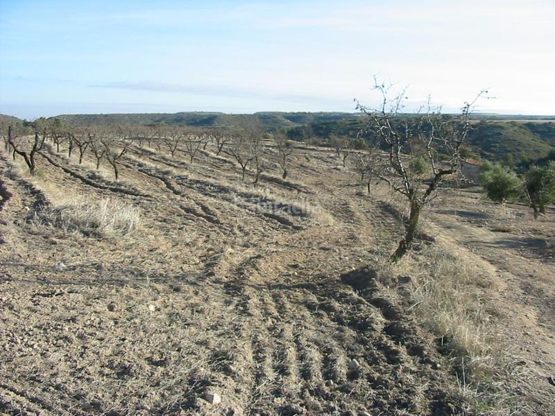 Foto ca87be21-f766-466f-9b2b-9f0c1cfa9b9f. Finca rústica a Castelldans