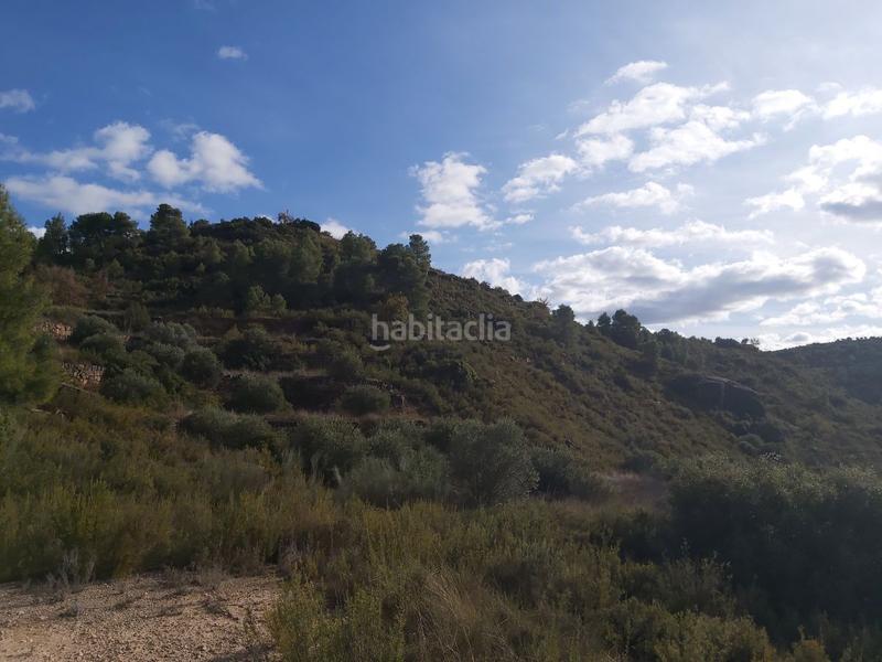 Foto 30c5b699-248f-41f5-9b57-9508811a48bd. Finca rústica a Albagés (L´)