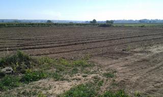 Masia a Castelldans. Finca rúst. en venta en castelldans.