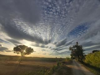 Finca rústica a Puigverd de Lleida. Finca rúst. en venta en puigverd de lleida.