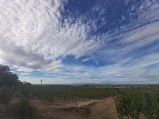 Finca rústica a Puigverd de Lleida. Finca rúst. en venta en puigverd de lleida.