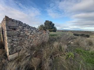 Finca rústica a Aspa. Finca rúst. en venta en aspa.