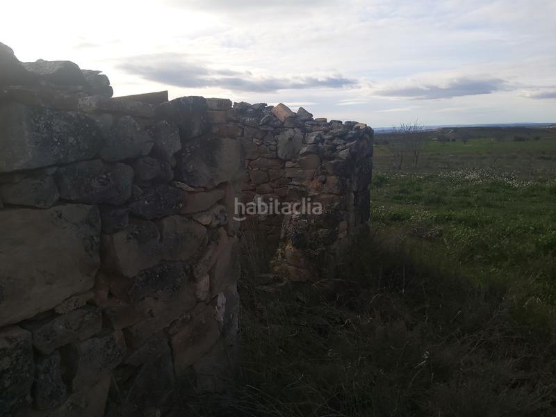 Foto 3fcbea34-8889-4fbd-a232-0b402528a9cd. Finca rústica finca rúst. en venta . en Aspa