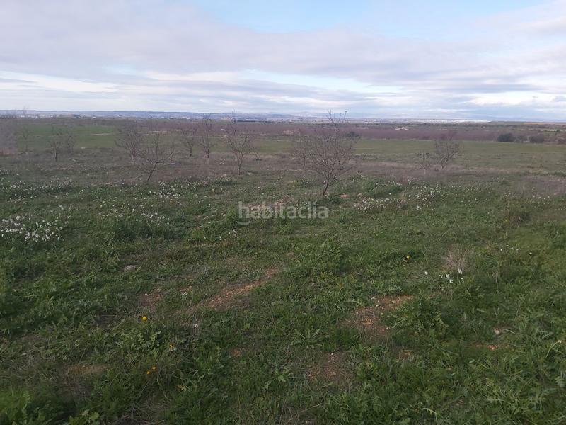 Foto e876a99f-1c36-4424-8164-873d5997f695. Finca rústica finca rúst. en venta . en Aspa