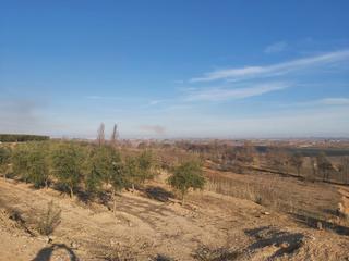 Finca rstica en Borges Blanques (Les). Finca rst. en venta en castelldans.
