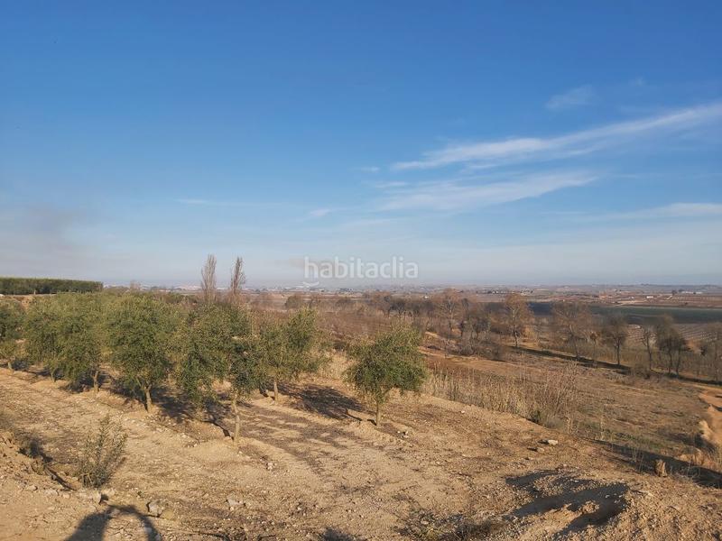 Foto 862dd89f-43e2-4229-8d1b-2aabe51be387. Finca rústica a Borges Blanques (Les)