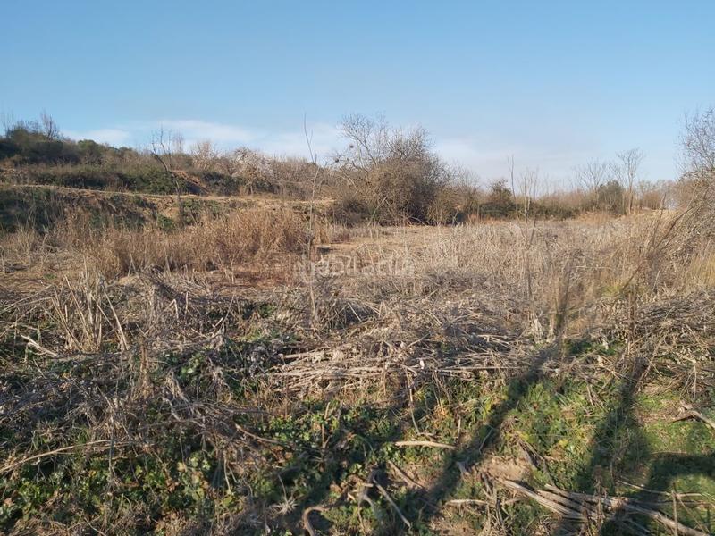 Foto d6fd0adc-db88-4252-9c0f-9bae73e279a9. Finca rústica a Borges Blanques (Les)