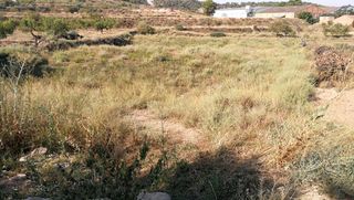 Landgut in Finca urbanizable. Finca rúst. en venta en castelldans.