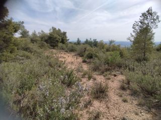 Landgut in Albagés (L´). Finca rúst. en venta en albagés (l`).