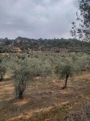 Finca rústica a Carrer juncosa 96. Finca rúst. en venta en albagés (l`).