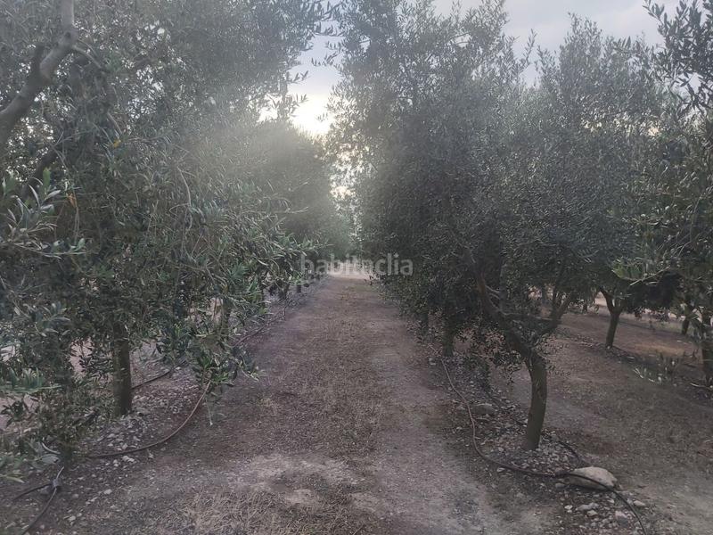 Foto 8af2c76f-b9e9-4b58-812a-6dd604fdc210. Chalet en n/a chalet en venta . en Maials