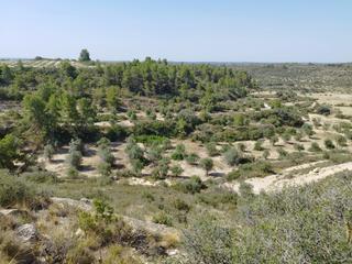 Masia a Castelldans. Finca rúst. en venta en castelldans.