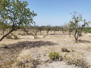 Masia a Gramenals. Finca rúst. en venta en castelldans.