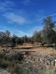 Masia a Melons. Finca rúst. en venta en castelldans.