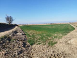 Masa en Vencillo. Finca rst. en venta en alams els.