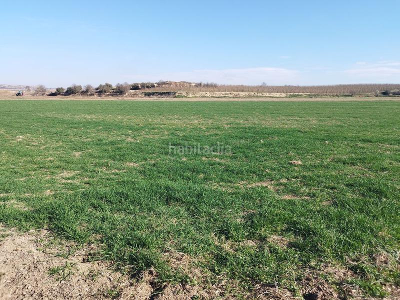 Foto 756246bd-b59e-46d4-aaec-8e1c7de6ad11. Country house in vencillo in Alamús (Els)