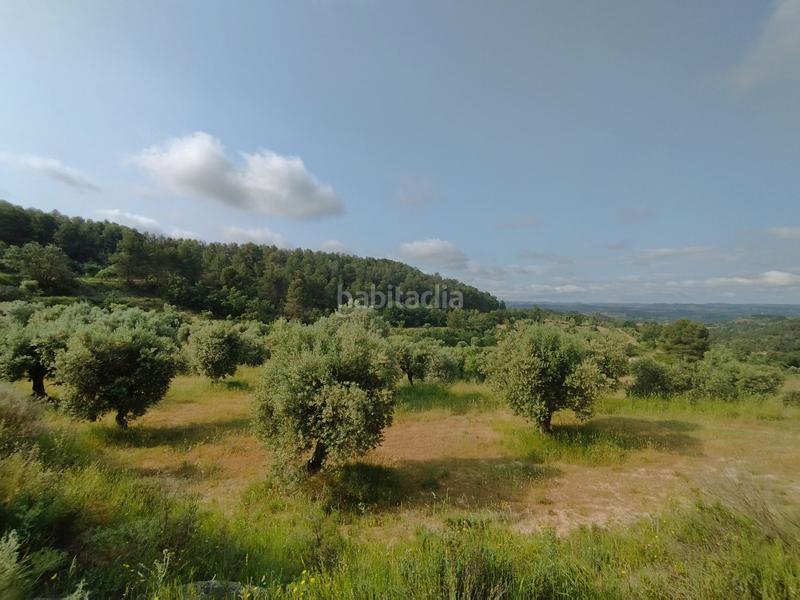 Foto 1174ef3a-7ea2-46d3-974a-f843f6ba27d9. Chalet con parcheggio in Cervià de les Garrigues