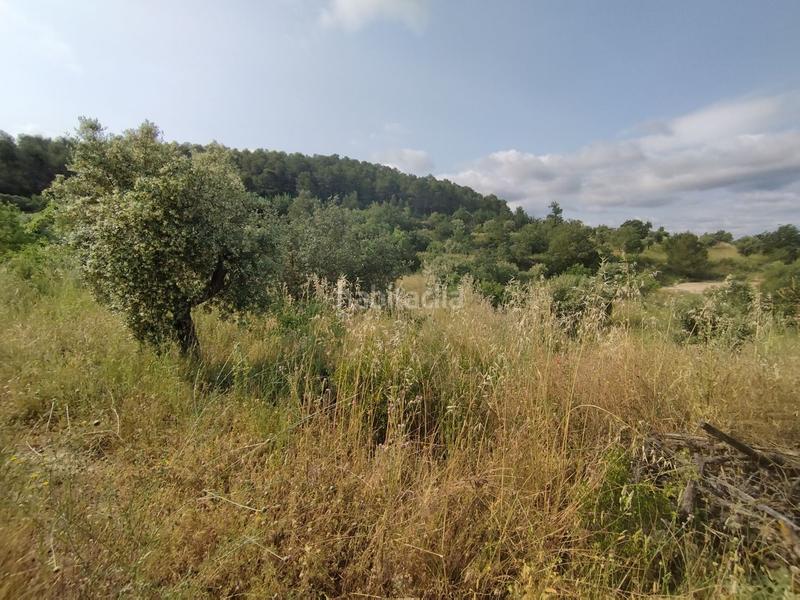 Foto 3dccbb3d-d947-4fb5-b539-028671d803bf. Chalet con parcheggio in Cervià de les Garrigues