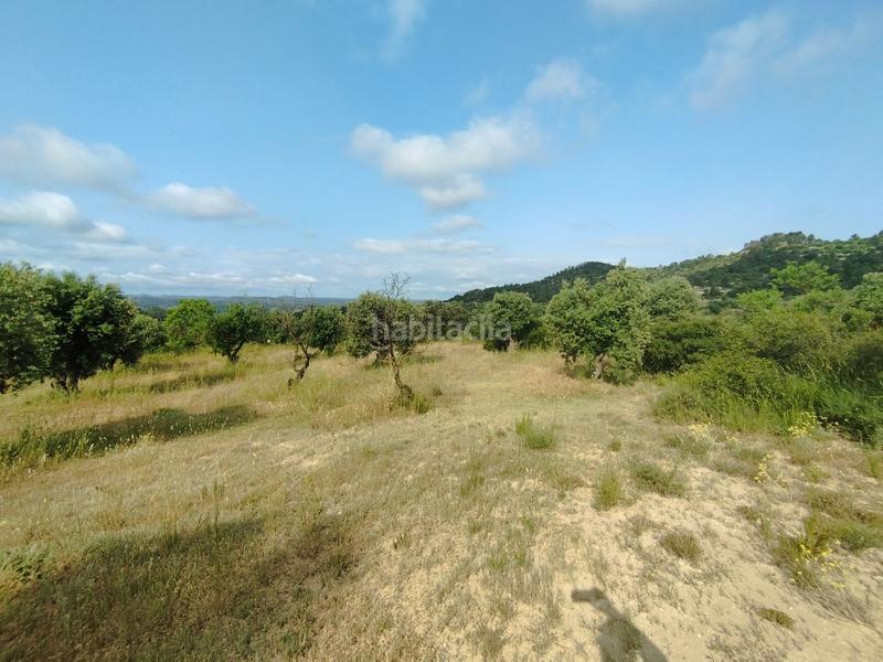 Foto 6c0a02e9-a47d-4d2e-b7eb-de16a120c9f3. Chalet con parcheggio in Cervià de les Garrigues