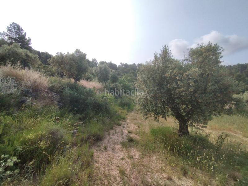 Foto 9c2751e2-0e8a-496c-9ef8-34bbd8d55aa4. Chalet con parcheggio in Cervià de les Garrigues