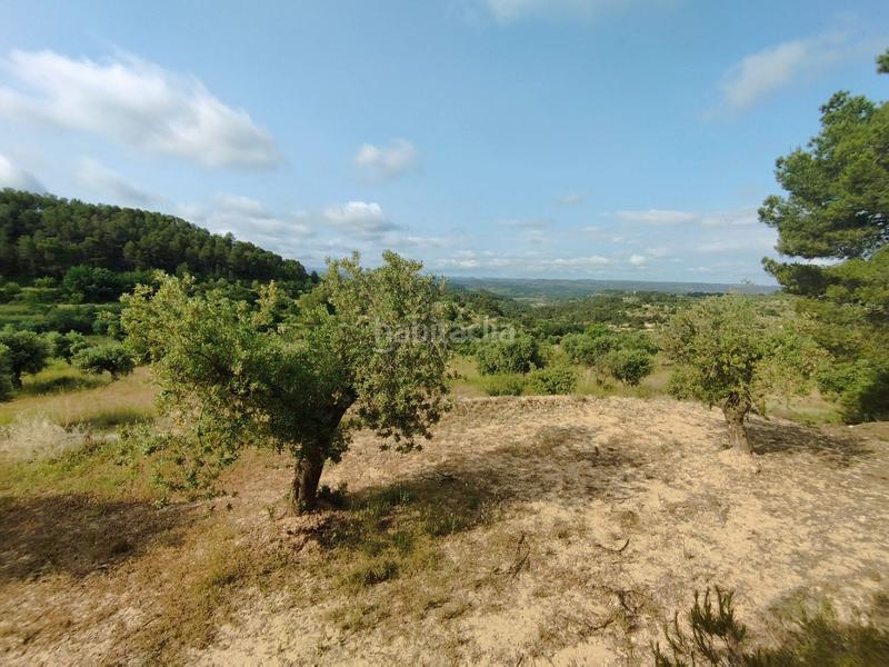 Foto b9f350dd-2089-4d51-9df5-92314eaa9da3. Chalet con parcheggio in Cervià de les Garrigues