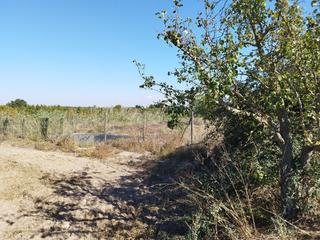 Bauernhof in Puigverd de Lleida. Finca rúst. en venta en puigverd de lleida.