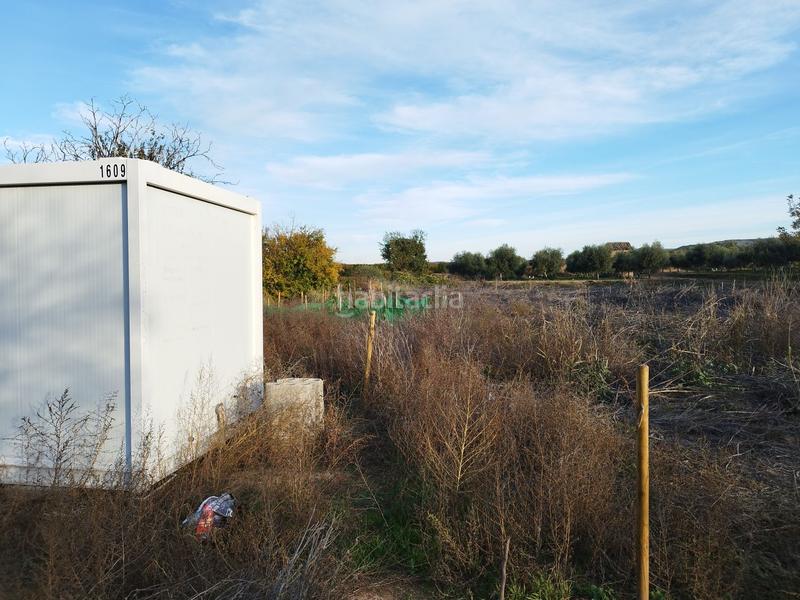 Foto dc7e7381-193b-43a9-a3e0-653e08732e79. Mas dans Castelldans