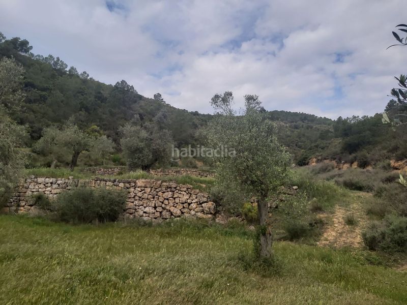 Foto 43f44091-44b2-4a52-aa42-b225d7b661a4. Masia a Seròs