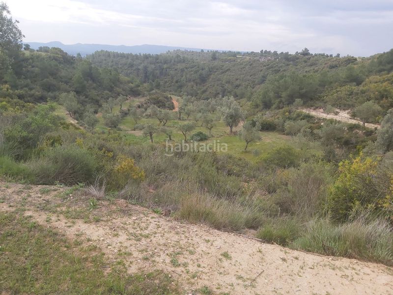 Foto cb176efa-7cdb-475b-ad05-fd2498e15de2. Masia a Seròs