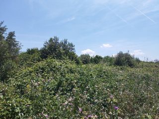 Masia a Borges Blanques (Les). Finca rúst. en venta en juneda.