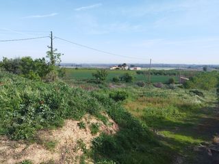 Mas  La serreta. Finca rúst. en venta en castelldans.