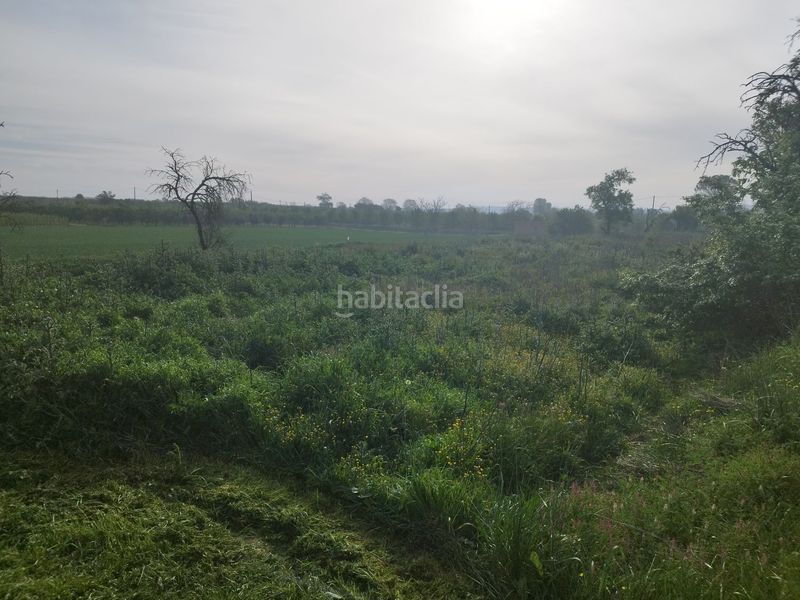 Foto 7fba3316-5710-490d-b3f4-7e888c965221. Masia a Castelldans