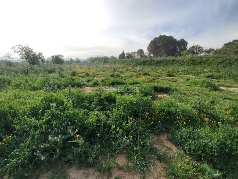 Foto c9d1434e-2406-4b6b-965a-910c01587c90. Masia a Castelldans
