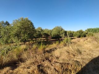 Casale  Puigverd de lleida. Finca rúst. en venta en puigverd de lleida.