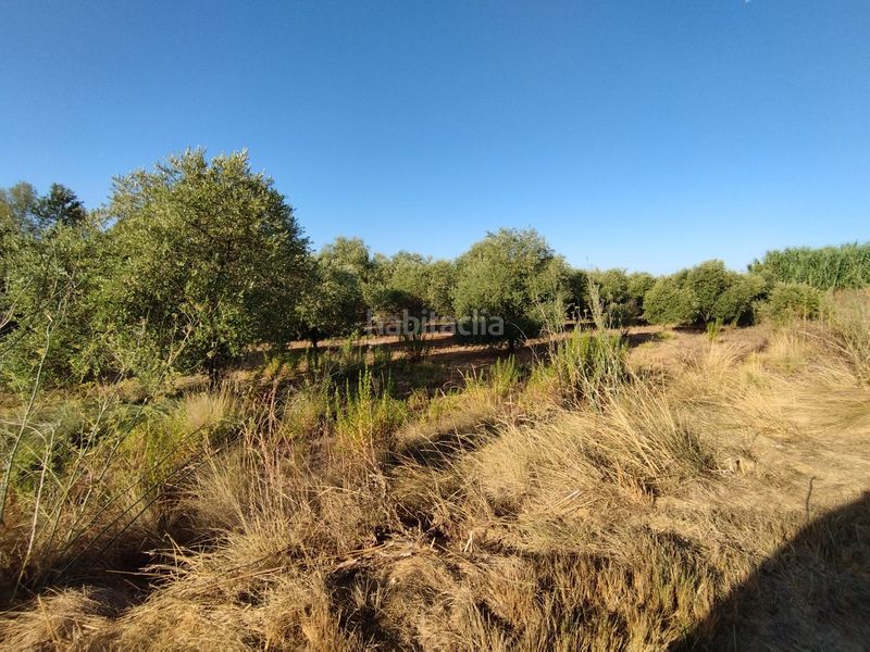 Foto 7f0ef14b-d104-4d0b-bf11-827fe34ca536. Masia a Puigverd de Lleida
