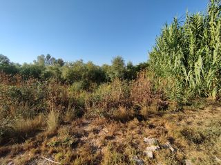 Masia  Puigverd de lleida. Finca rúst. en venta en puigverd de lleida.