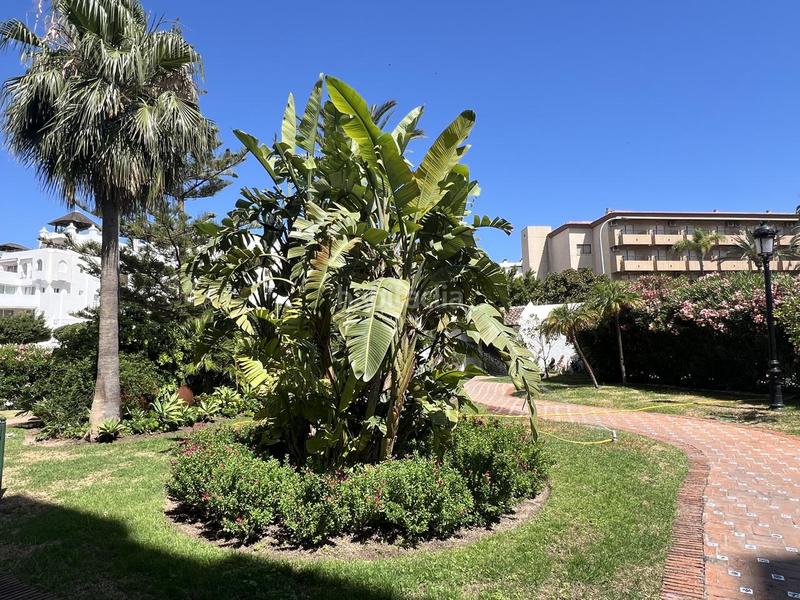 Foto b1c379c9-fe9c-496f-a385-47acd08a8b61. Location rez-de-chaussée avec parking piscine dans El Bajondillo Torremolinos