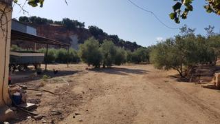 Masia a Linarejos