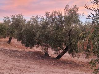 Terreno residenziale in Puente Jontoya - Puente de la Sierra - El Arroyo. Parc. rúst. en venta en jaén.