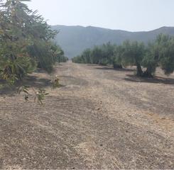 Terreno residencial en Martos. Parc. rúst. en venta en martos.